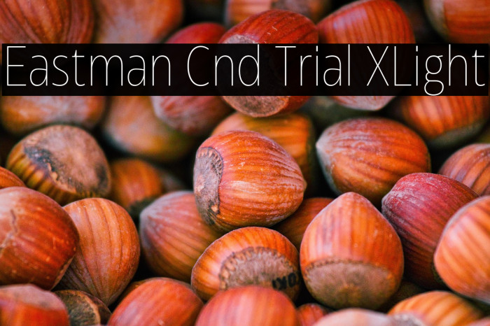 Eastman Cnd Trial XLight Example 3