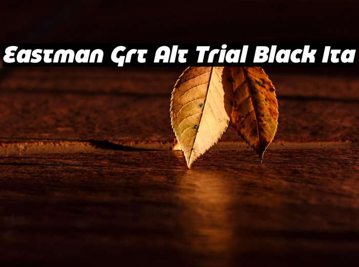 Eastman Grt Alt Trial Black Ita Example 2