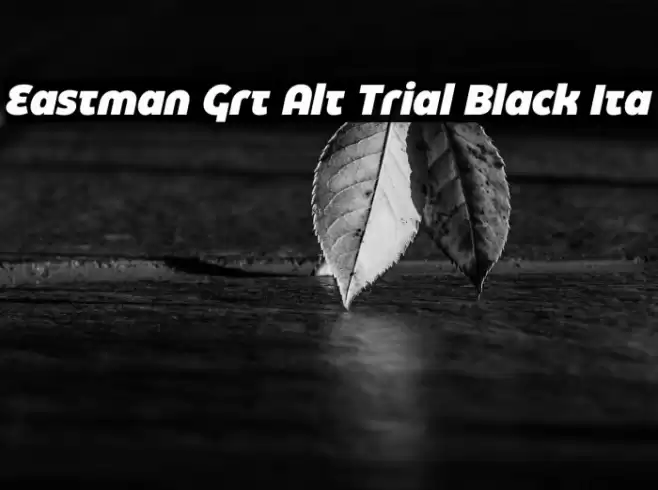 Eastman Grt Alt Trial Black Ita Font examples