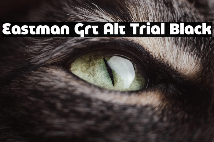 Eastman Grt Alt Trial Black Example 2