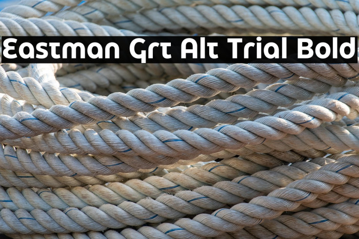 Eastman Grt Alt Trial Bold Example 2