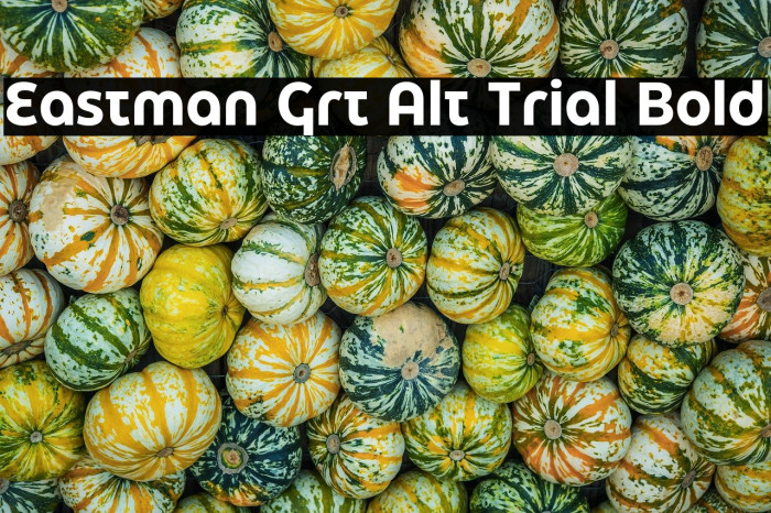 Eastman Grt Alt Trial Bold Example 3