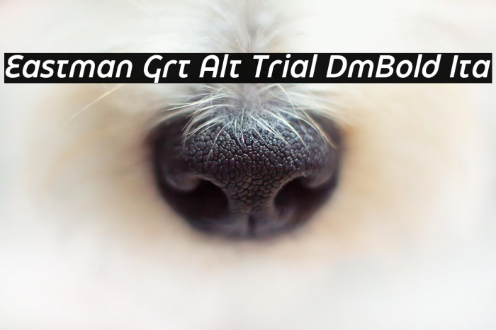 Eastman Grt Alt Trial DmBold Ita Example 3