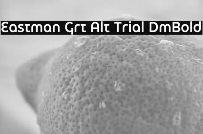 Eastman Grt Alt Trial DmBold Font examples
