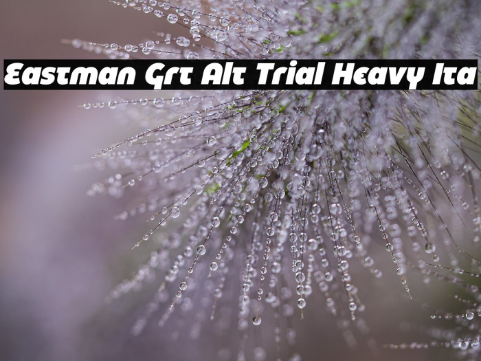 Eastman Grt Alt Trial Heavy Ita Example 3