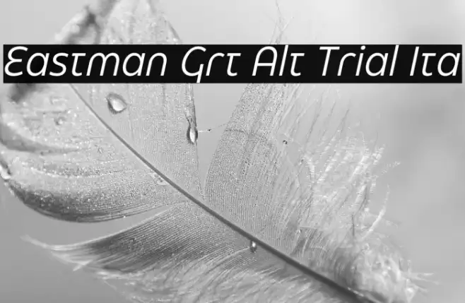 Eastman Grt Alt Trial Ita Example 1