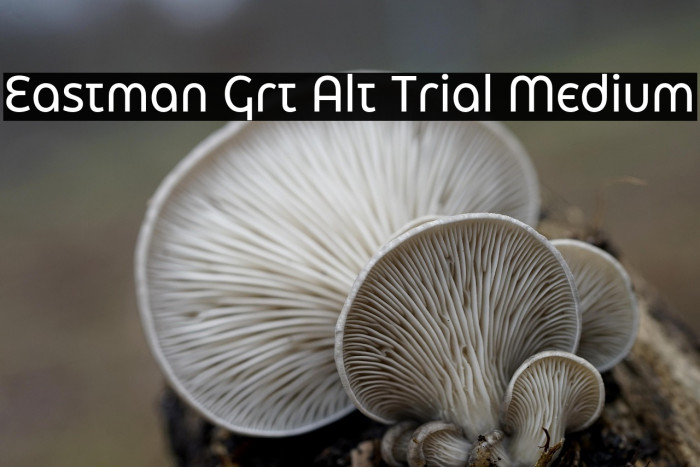 Eastman Grt Alt Trial Medium Example 2