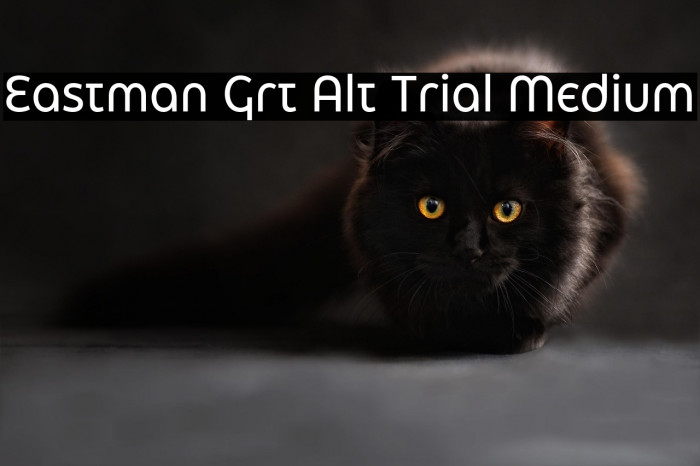 Eastman Grt Alt Trial Medium Example 3