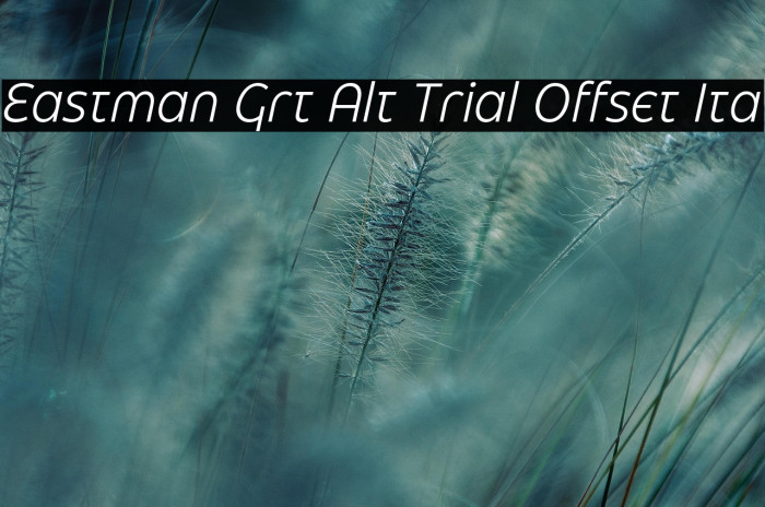 Eastman Grt Alt Trial Offset Ita Example 3