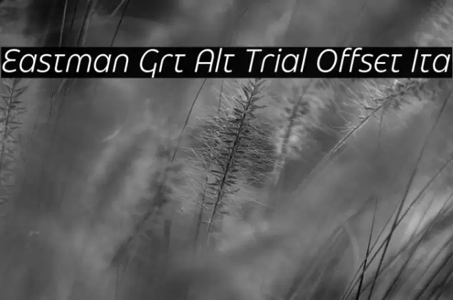 Eastman Grt Alt Trial Offset Ita Font examples