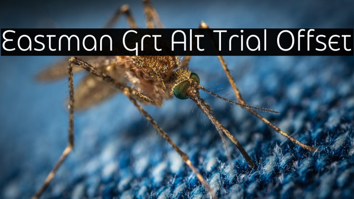 Eastman Grt Alt Trial Offset Example 2