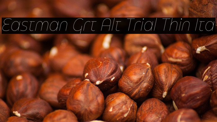 Eastman Grt Alt Trial Thin Ita Example 2