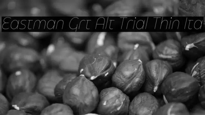 Eastman Grt Alt Trial Thin Ita Font examples