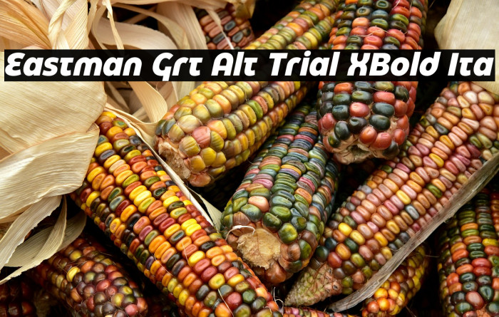 Eastman Grt Alt Trial XBold Ita Example 1