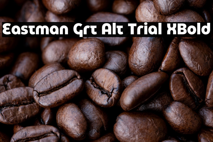Eastman Grt Alt Trial XBold Example 1