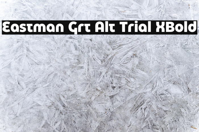 Eastman Grt Alt Trial XBold Example 2