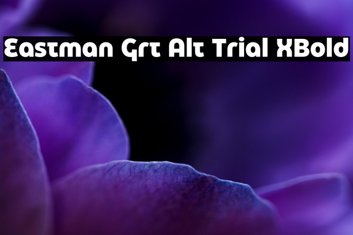 Eastman Grt Alt Trial XBold Example 3