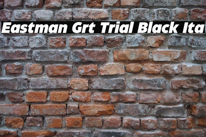 Eastman Grt Trial Black Ita Example 1