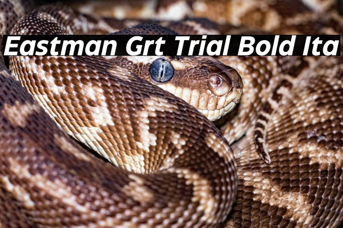 Eastman Grt Trial Bold Ita Example 2