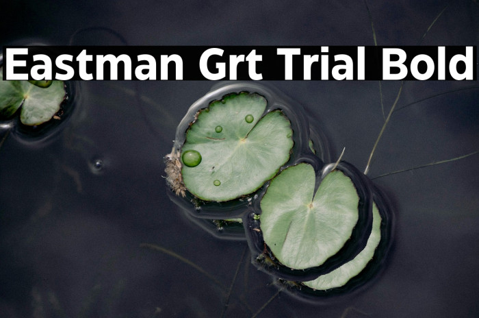 Eastman Grt Trial Bold Example 2