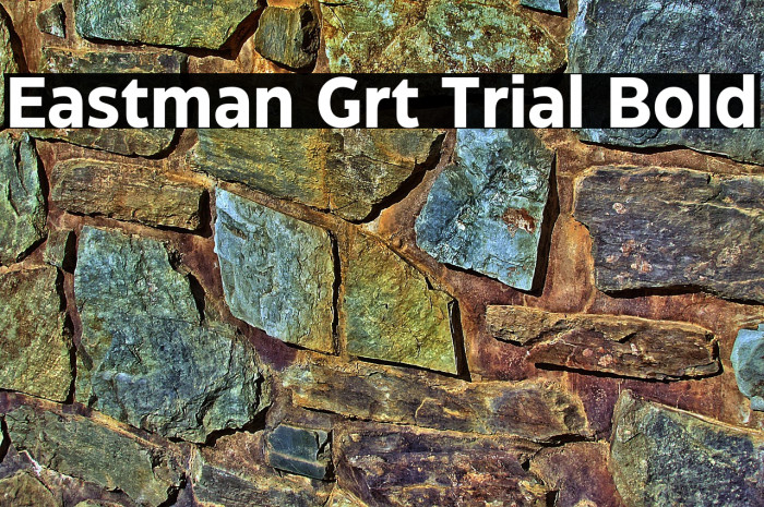 Eastman Grt Trial Bold Example 3