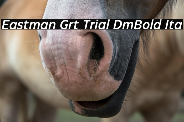 Eastman Grt Trial DmBold Ita Example 1