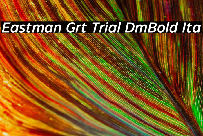 Eastman Grt Trial DmBold Ita Example 2