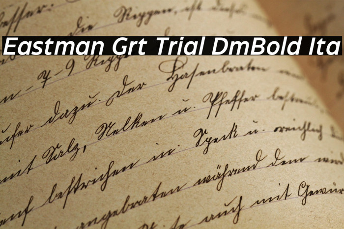 Eastman Grt Trial DmBold Ita Example 3