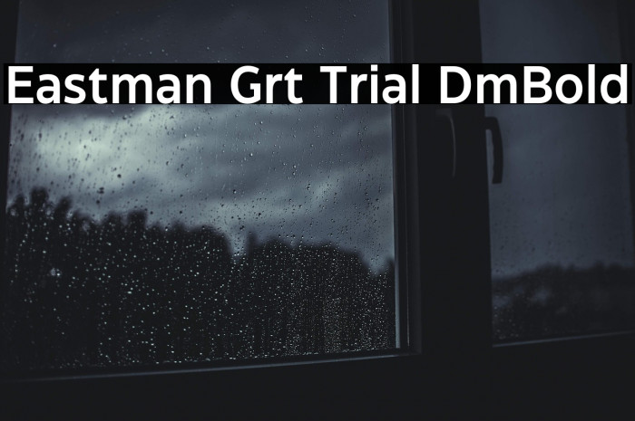 Eastman Grt Trial DmBold Example 3