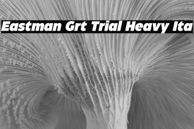 Eastman Grt Trial Heavy Ita Example 1