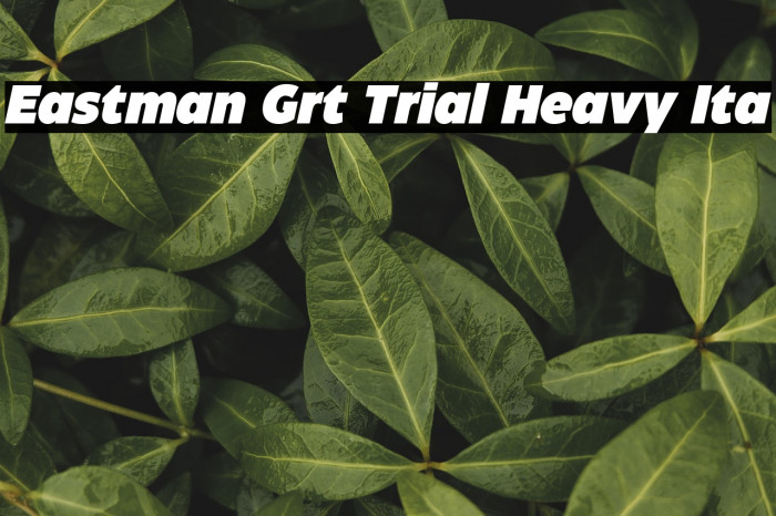 Eastman Grt Trial Heavy Ita Example 2