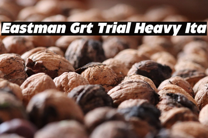 Eastman Grt Trial Heavy Ita Example 3