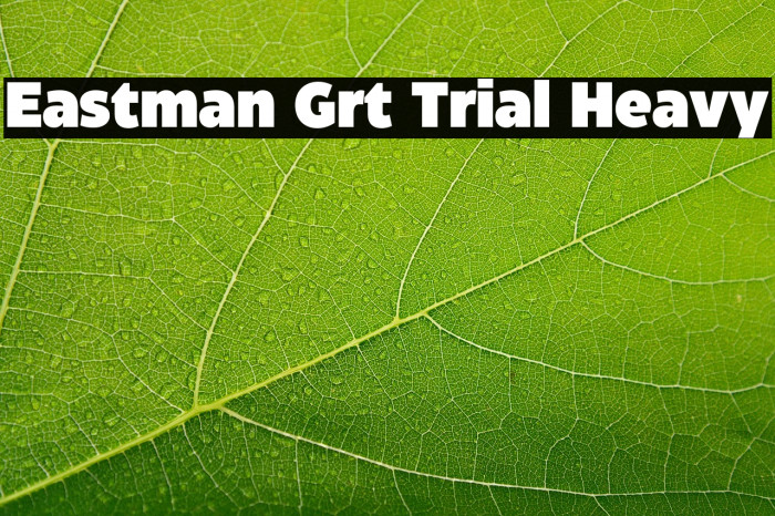 Eastman Grt Trial Heavy Example 1