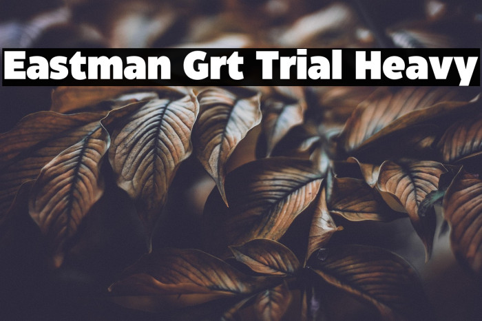 Eastman Grt Trial Heavy Example 2
