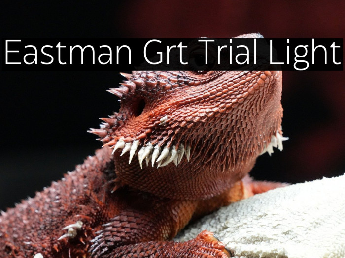 Eastman Grt Trial Light Example 3