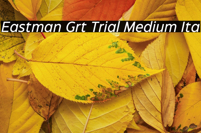Eastman Grt Trial Medium Ita Example 1