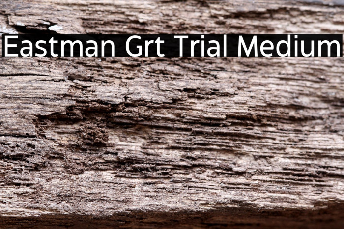 Eastman Grt Trial Medium Example 2