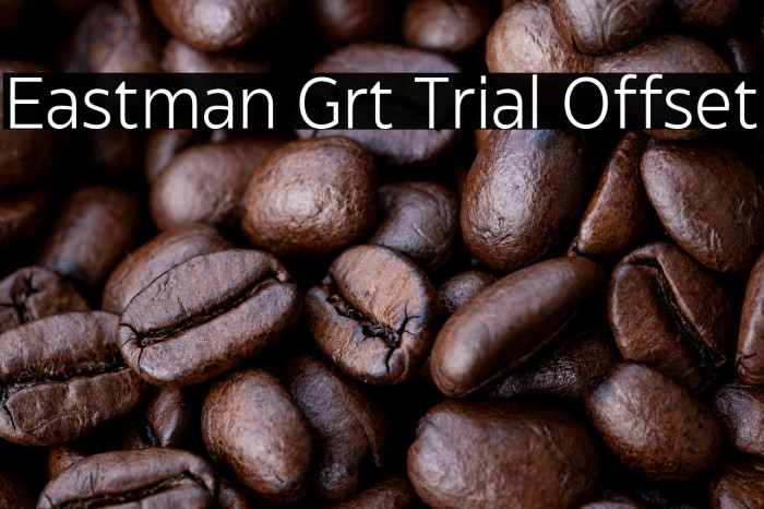 Eastman Grt Trial Offset Example 3