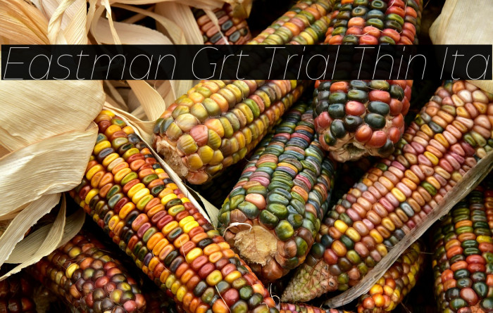 Eastman Grt Trial Thin Ita Example 3