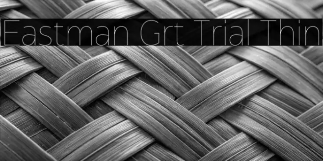 Eastman Grt Trial Thin Example 3
