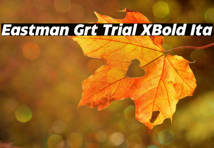 Eastman Grt Trial XBold Ita Example 1