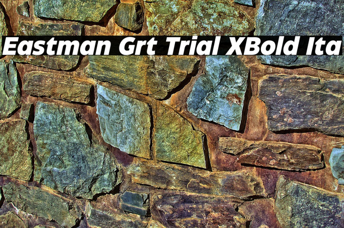 Eastman Grt Trial XBold Ita Example 2