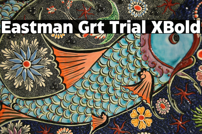 Eastman Grt Trial XBold Example 1