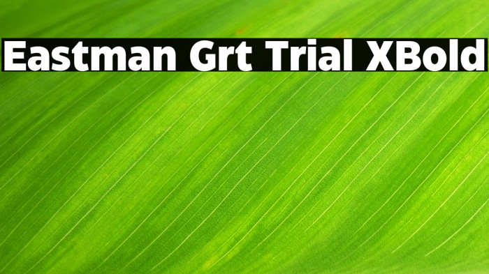 Eastman Grt Trial XBold Example 2