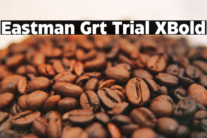 Eastman Grt Trial XBold Example 3