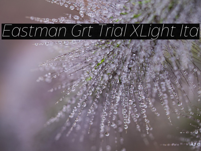 Eastman Grt Trial XLight Ita Example 1