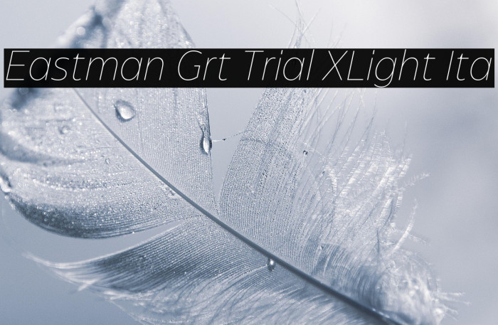 Eastman Grt Trial XLight Ita Example 3