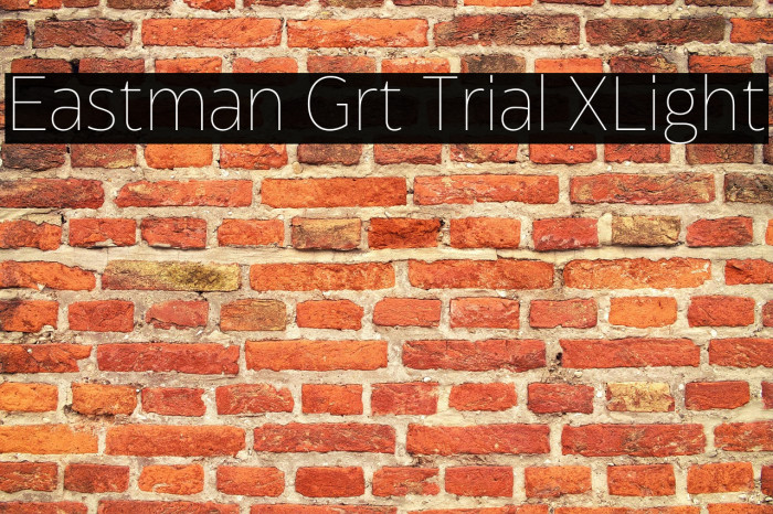 Eastman Grt Trial XLight Example 3