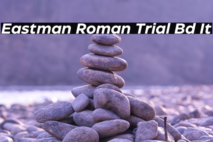 Eastman Roman Trial Bd It Example 3