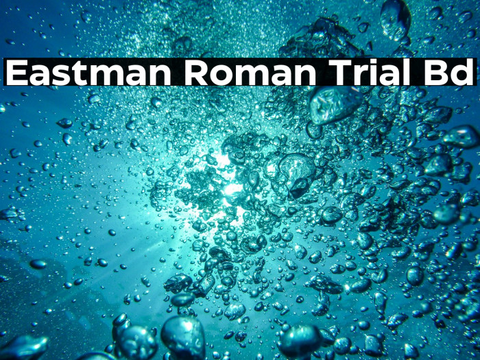Eastman Roman Trial Bd Example 1